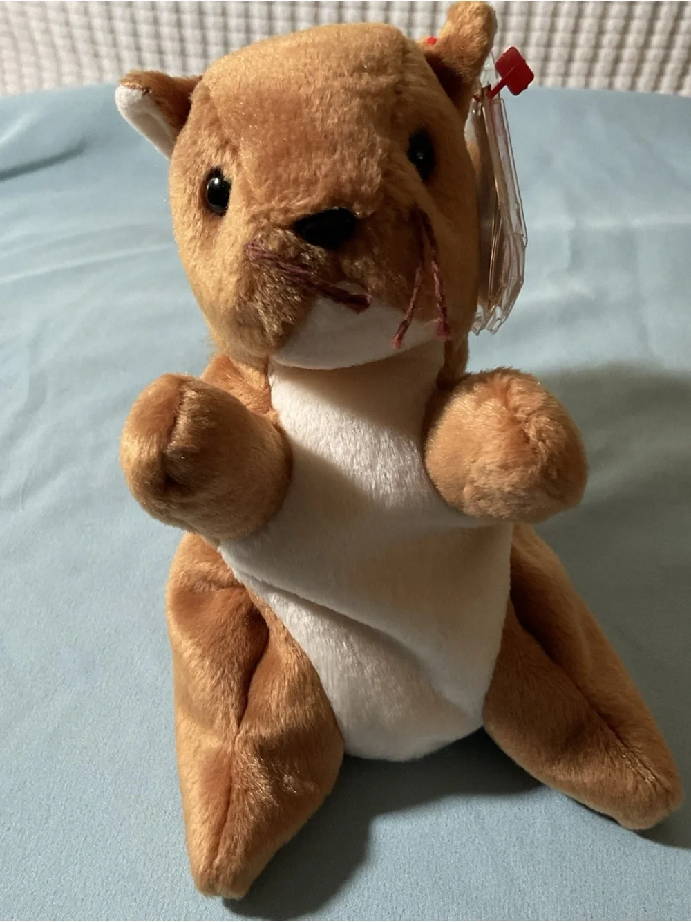 Ty Nuts Brown and Cream Squirrel Plush with Tags